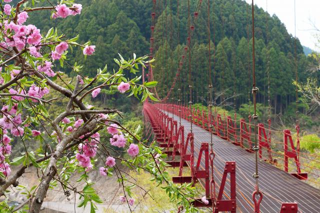 有田川町の蔵王橋