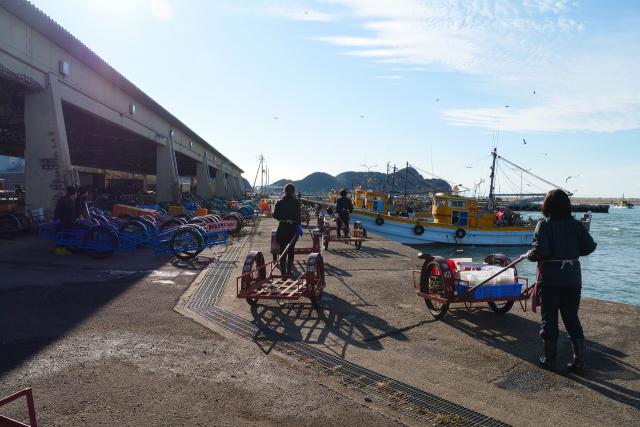 箕島漁港の風景